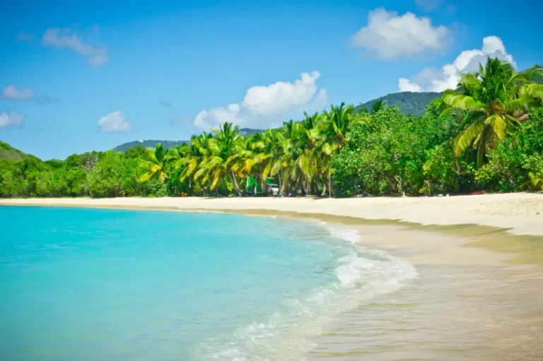 Best Beaches in Tortola