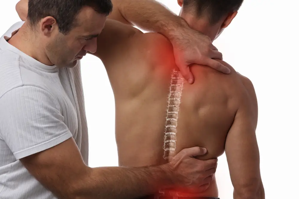 You are currently viewing 6 Important Chiropractic Facts You Should Know
